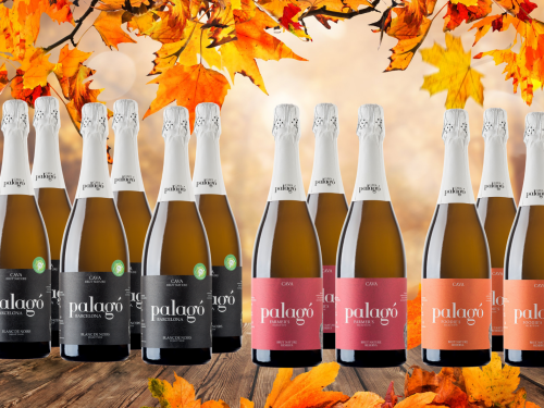 SELECCIÓ DE NADAL D'ARTCAVA x12 bottles