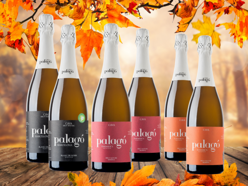 SELECCIÓ D'HIVERN D'ARTCAVA x6 bottles